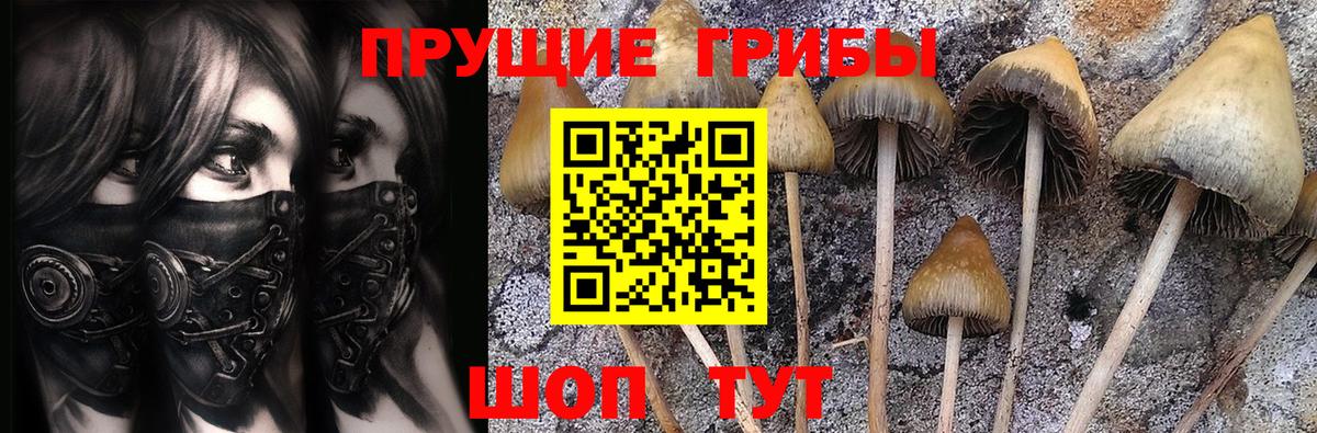 Псилоцибиновые грибы Psilocybine cubensis Ханты-Мансийск
